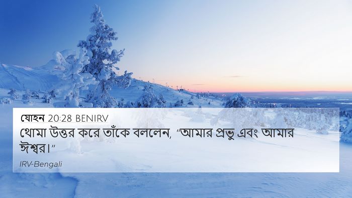 যোহন 20:28 BENIRV Bible Verse Image