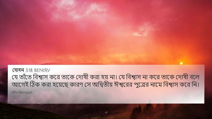 যোহন 3:18 BENIRV Bible Verse Image