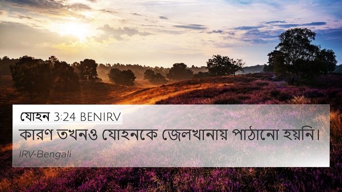 যোহন 3:24 BENIRV Bible Verse Image