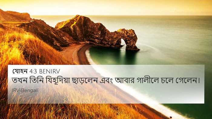 যোহন 4:3 BENIRV Bible Verse Image