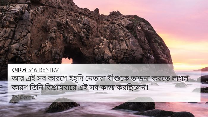 যোহন 5:16 BENIRV Bible Verse Image