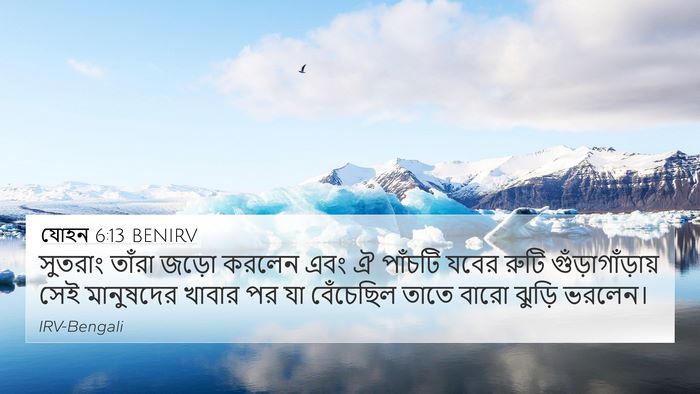 যোহন 6:13 BENIRV Bible Verse Image