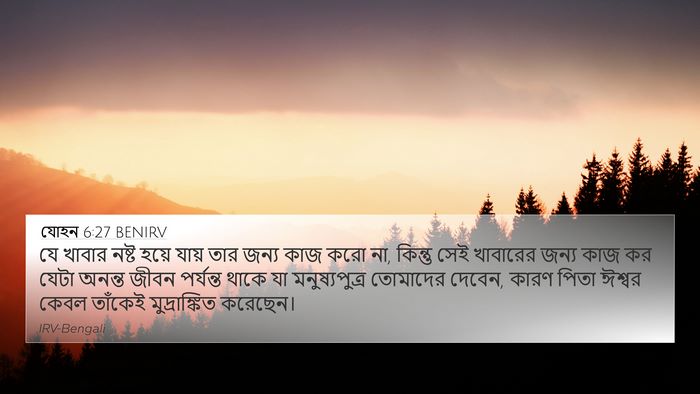 যোহন 6:27 BENIRV Bible Verse Image
