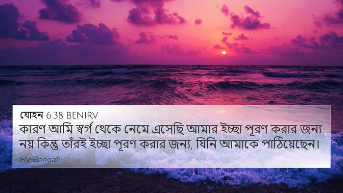যোহন 6:38 BENIRV Bible Verse Image