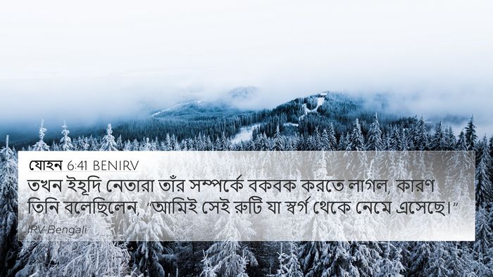যোহন 6:41 BENIRV Bible Verse Image