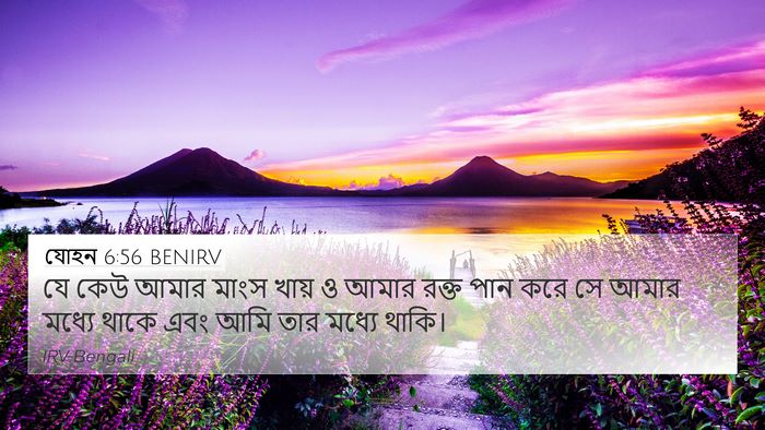 যোহন 6:56 BENIRV Bible Verse Image