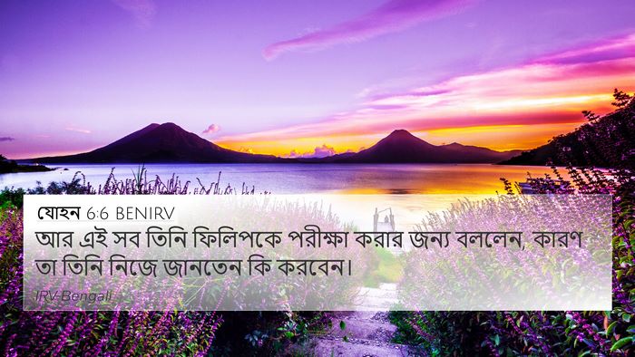 যোহন 6:6 BENIRV Bible Verse Image