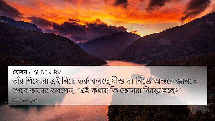 যোহন 6:61 BENIRV Bible Verse Image