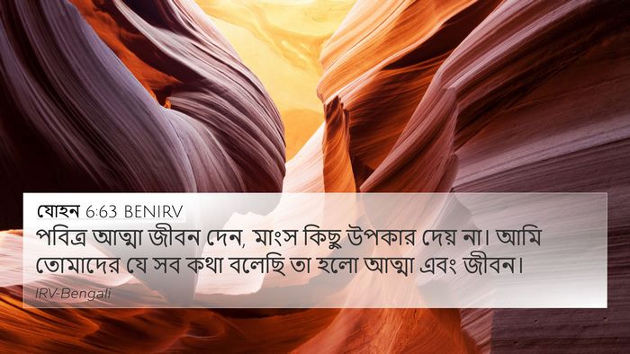যোহন 6:63 BENIRV Bible Verse Image