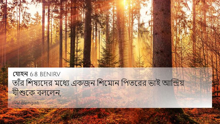 যোহন 6:8 BENIRV Bible Verse Image