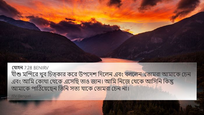 যোহন 7:28 BENIRV Bible Verse Image