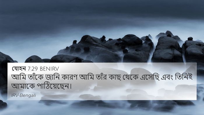 যোহন 7:29 BENIRV Bible Verse Image