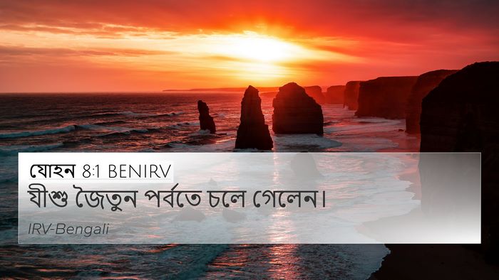 যোহন 8:1 BENIRV Bible Verse Image