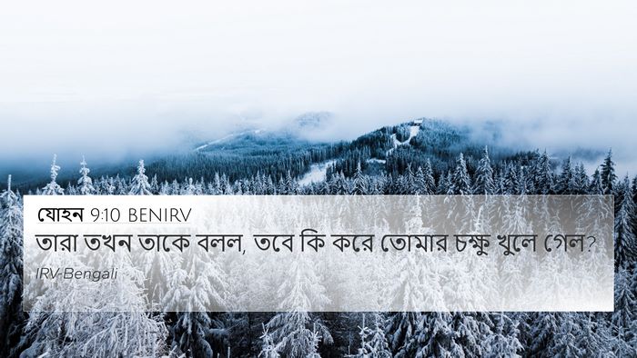 যোহন 9:10 BENIRV 4K Wallpaper - তারা তখন তাকে বলল, - 4K Wallpaper Bible Verse