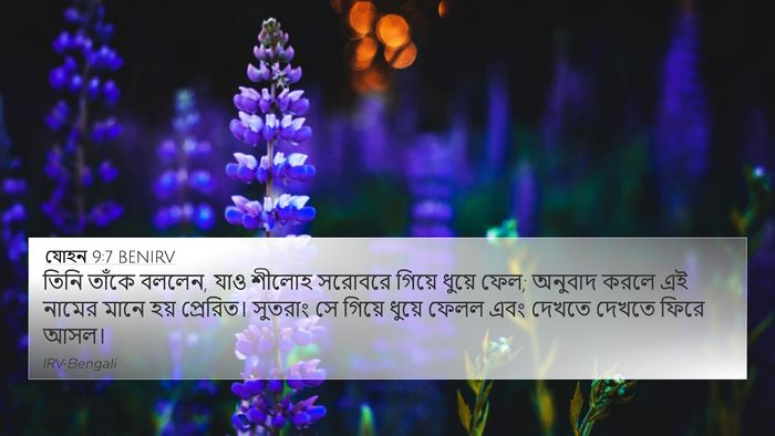 যোহন 9:7 BENIRV Bible Verse Image