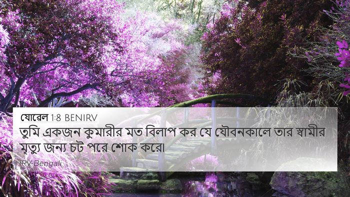 যোৱেল 1:8 BENIRV Bible Verse Image