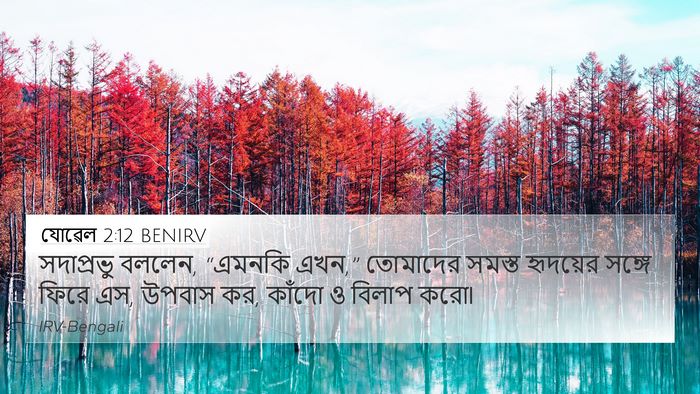 যোৱেল 2:12 BENIRV 4K Wallpaper - সদাপ্রভু বললেন, - 4K Wallpaper Bible Verse