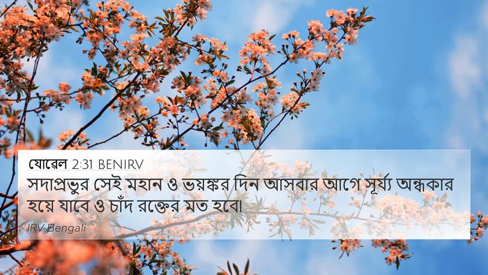 যোৱেল 2:31 BENIRV Bible Verse Image