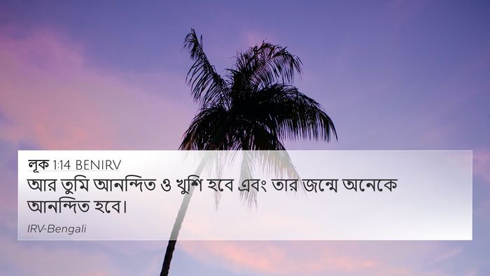 লূক 1:14 BENIRV 4K Wallpaper - আর তুমি আনন্দিত ও - 4K Wallpaper Bible Verse