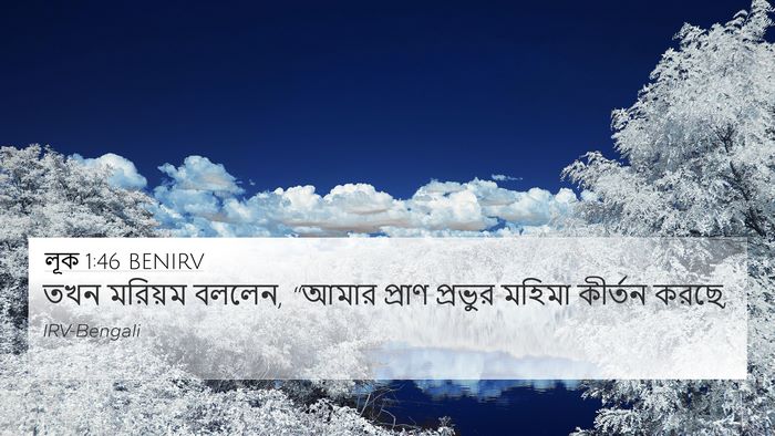 লূক 1:46 BENIRV Bible Verse Image