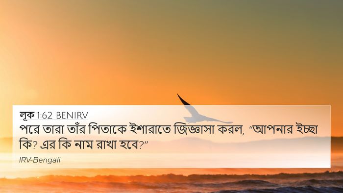 লূক 1:62 BENIRV Bible Verse Image