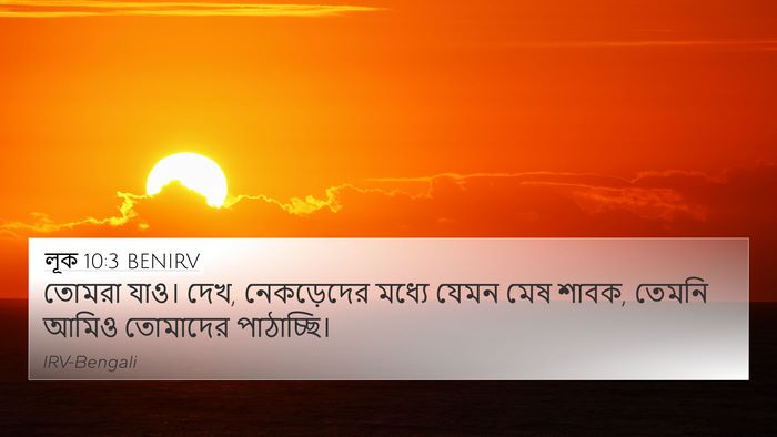 লূক 10:3 BENIRV 4K Wallpaper - তোমরা যাও। দেখ, - 4K Wallpaper Bible Verse