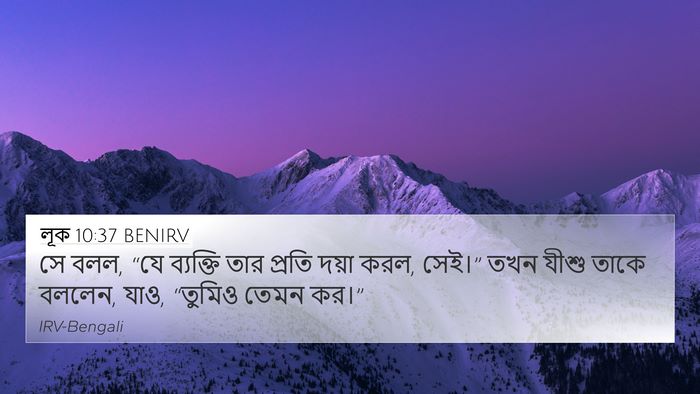 লূক 10:37 BENIRV 4K Wallpaper - সে বলল, “যে ব্যক্তি - 4K Wallpaper Bible Verse