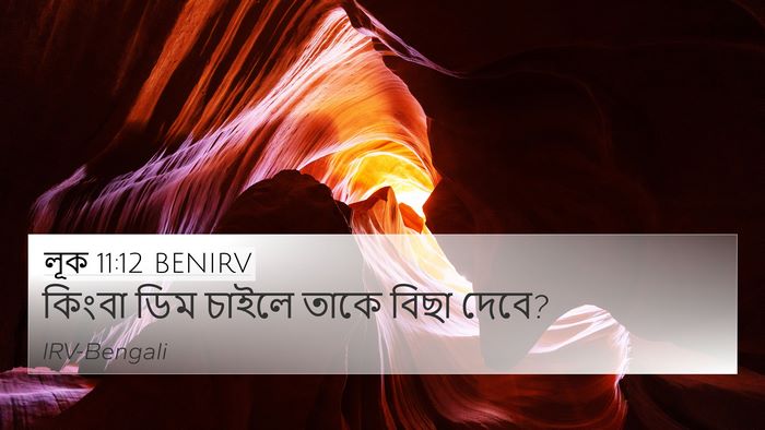 লূক 11:12 BENIRV 4K Wallpaper - কিংবা ডিম চাইলে - 4K Wallpaper Bible Verse