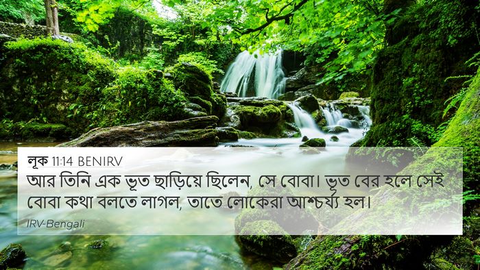 লূক 11:14 BENIRV Bible Verse Image