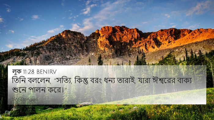 লূক 11:28 BENIRV Bible Verse Image