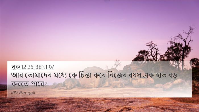 লূক 12:25 BENIRV Bible Verse Image