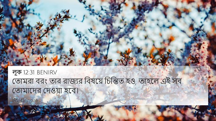 লূক 12:31 BENIRV Bible Verse Image