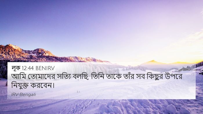 লূক 12:44 BENIRV Bible Verse Image