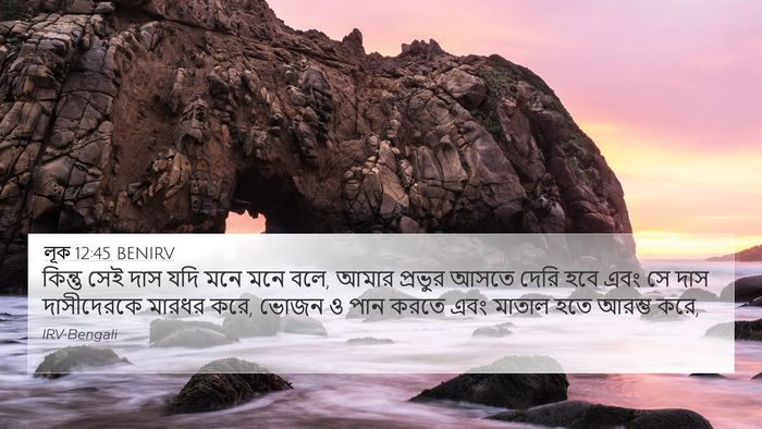 লূক 12:45 BENIRV Bible Verse Image