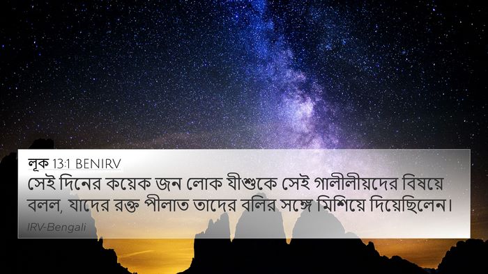 লূক 13:1 BENIRV Bible Verse Image