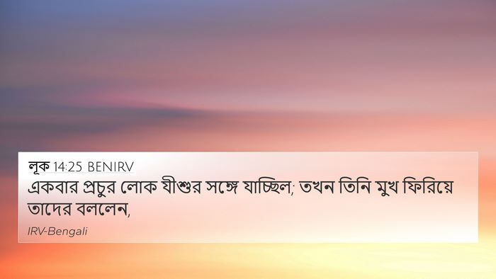 লূক 14:25 BENIRV Bible Verse Image
