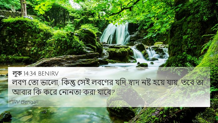 লূক 14:34 BENIRV Bible Verse Image