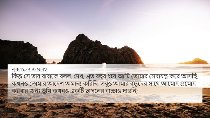 লূক 15:29 BENIRV Bible Verse Image