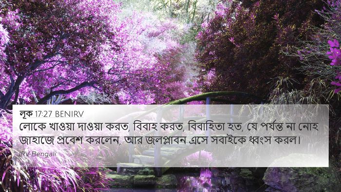 লূক 17:27 BENIRV Bible Verse Image