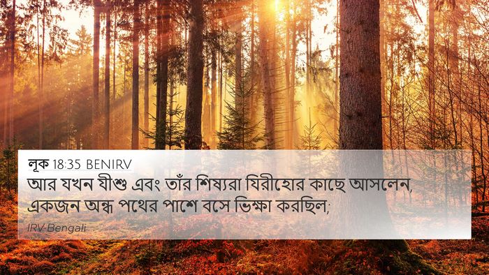 লূক 18:35 BENIRV Bible Verse Image