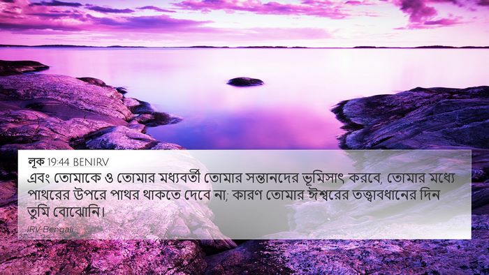 লূক 19:44 BENIRV Bible Verse Image