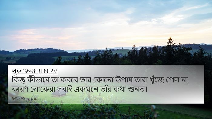 লূক 19:48 BENIRV Bible Verse Image