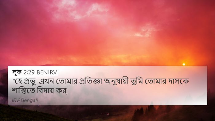 লূক 2:29 BENIRV Bible Verse Image