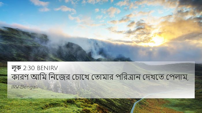 লূক 2:30 BENIRV Bible Verse Image