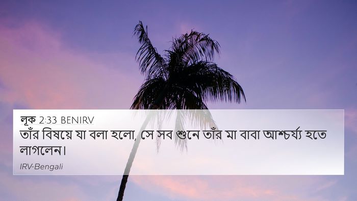 লূক 2:33 BENIRV Bible Verse Image