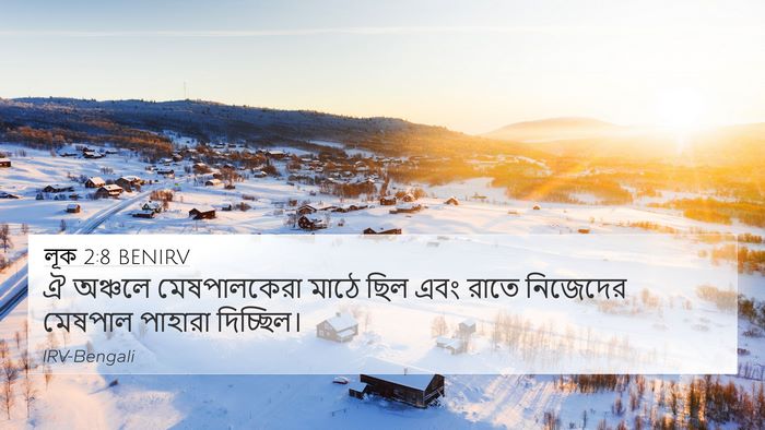 লূক 2:8 BENIRV Bible Verse Image