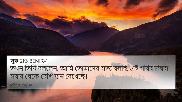 লূক 21:3 BENIRV 4K Wallpaper - তখন তিনি বললেন, আমি - 4K Wallpaper Bible Verse