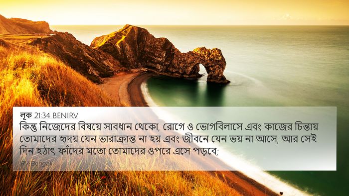 লূক 21:34 BENIRV Bible Verse Image