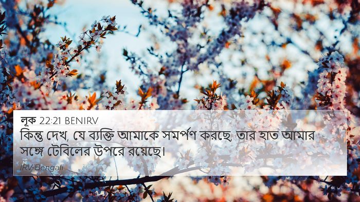 লূক 22:21 BENIRV Bible Verse Image
