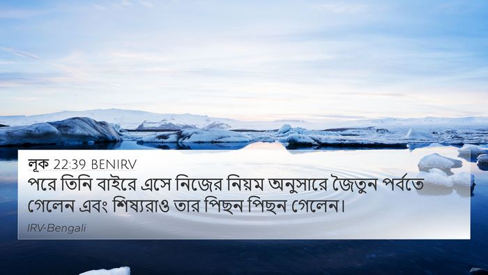 লূক 22:39 BENIRV Bible Verse Image